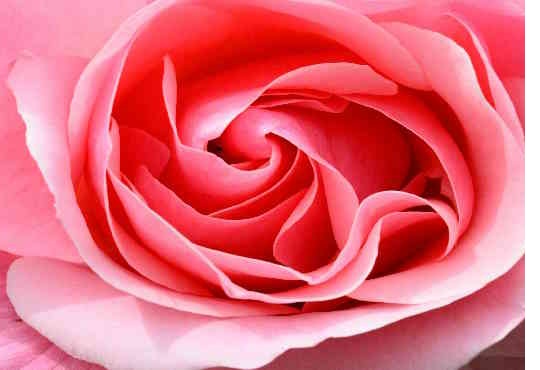 Hypnose-conversation